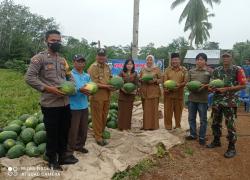 Tampak Camat Hadir