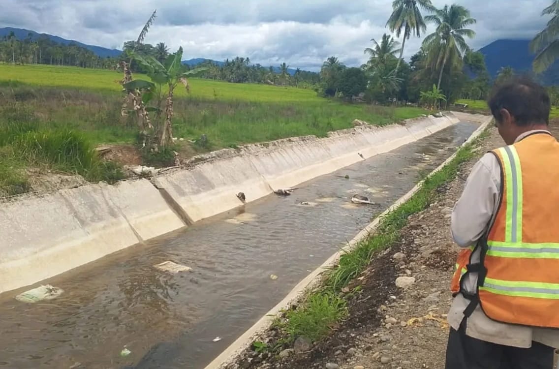 Proyek Rehabilitasi Jaringan Daerah Irigasi, Konsultan Lapangan : Pekerjaan Sudah 92%