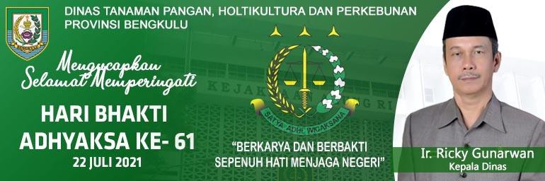 TPHP
