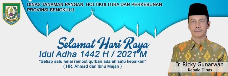 TPHP 