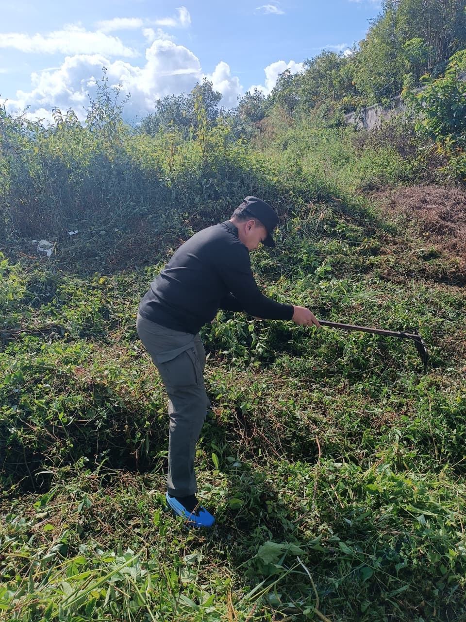 aedqsed