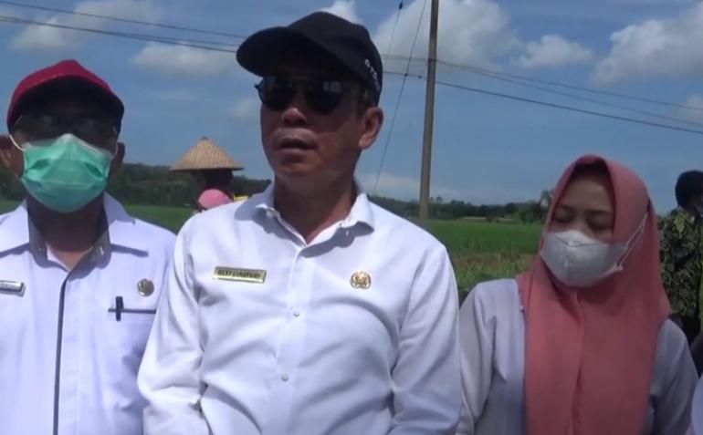 Kepala Dinas TPHP 