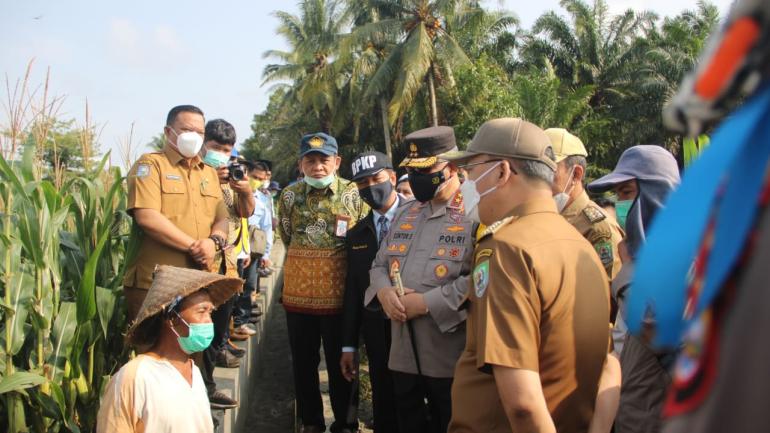 Program Padat Karya Dorong Pemulihan Ekonomi Masyarakat di Masa Pandemi