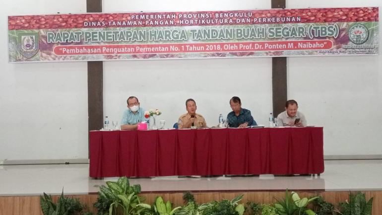 Benih Sawit Varieritas Simalungun Diminati Petani Bengkulu 