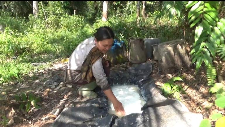 Petani Menjerit Harga Karet di Sungai Gelam Hanya 7.000/Kg