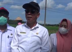 Kepala Dinas TPHP 