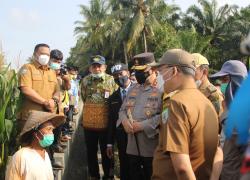 Program Padat Karya Dorong Pemulihan Ekonomi Masyarakat di Masa Pandemi